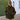 FOREST ON KHAKI BOUCLE BEA JACKET